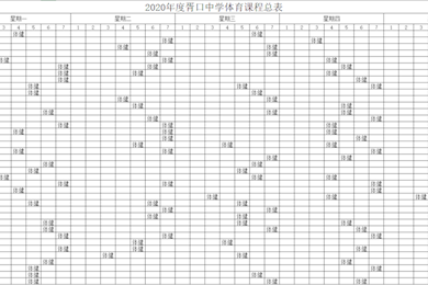 2020年度胥口中学体育课程总表